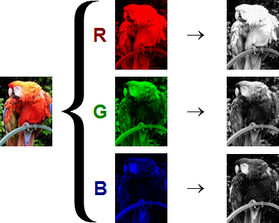 Each channel represents the intensity of one color. And since we have already separated out the channels we can revert it to grey-scale. Where white means that color is very intense or the value at that pixel is high and black means it is very low.