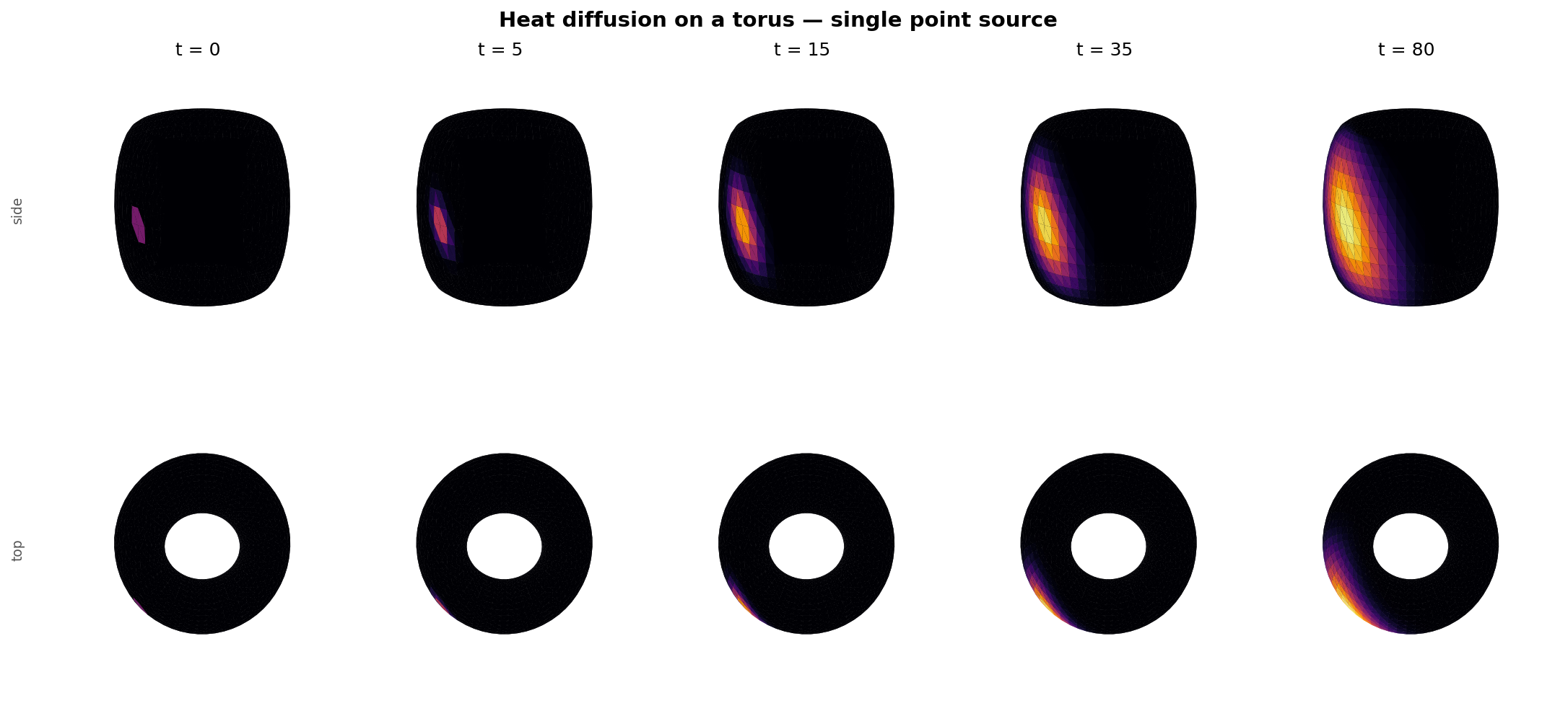 Heat diffusion snapshots on a torus