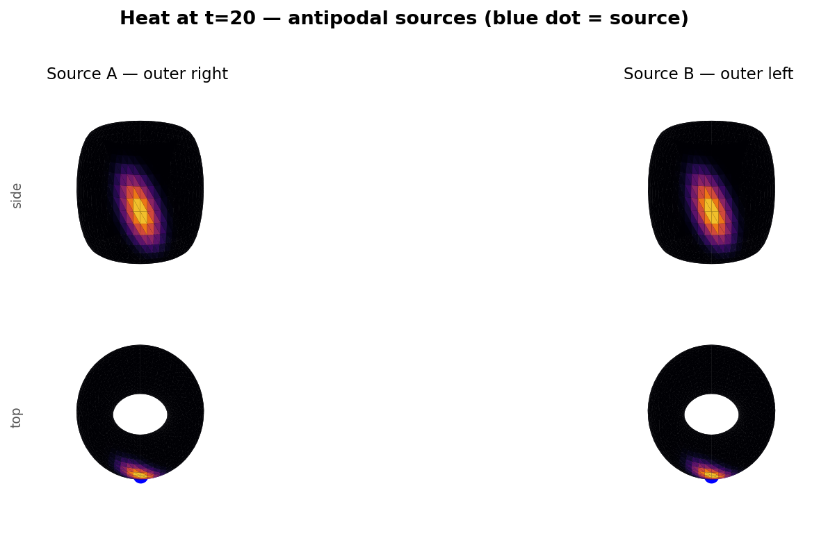 Heat from two antipodal sources on the torus